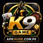 K9 Game Logo
